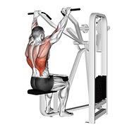 Lat Pulldown (Machine)