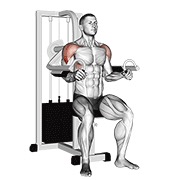 Lateral Raise (Machine)