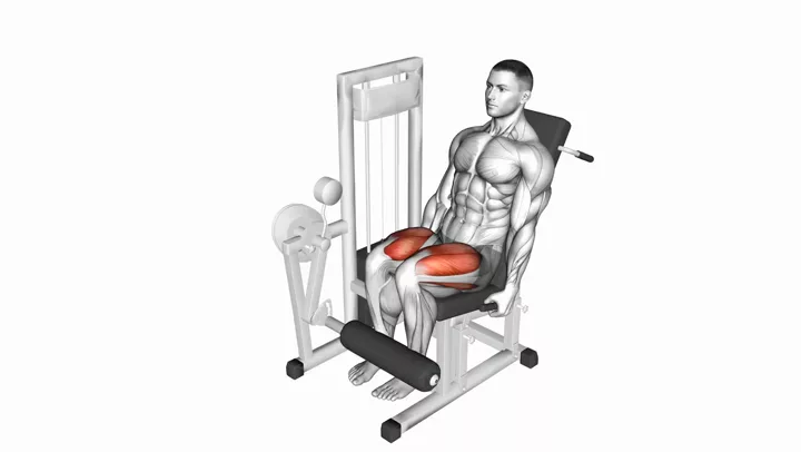 Leg Extensions
