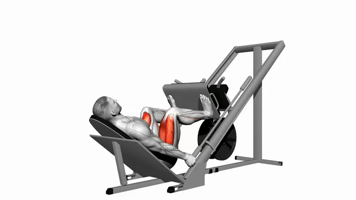 Leg Press