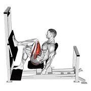 Leg Press Horizontal (Machine)