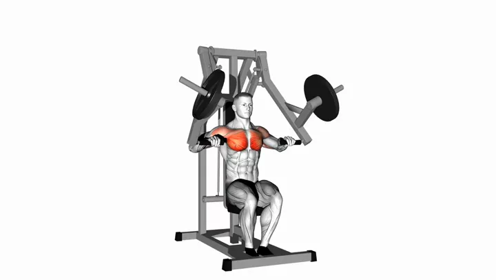Seated Chest Press (Machine)