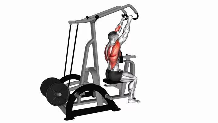 High Row (Machine)