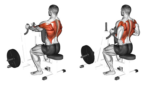 Iso Row (Machine)