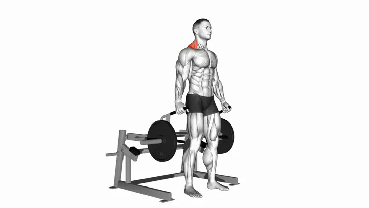 Shrugs Machine