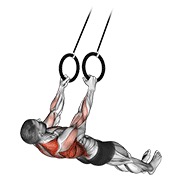 Low Row (Suspension)