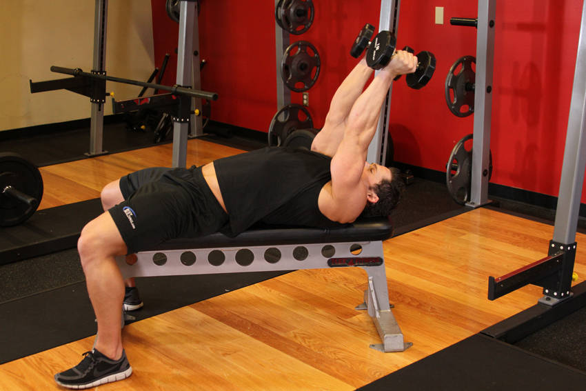 Lying Dumbbell Tricep Extension, end position