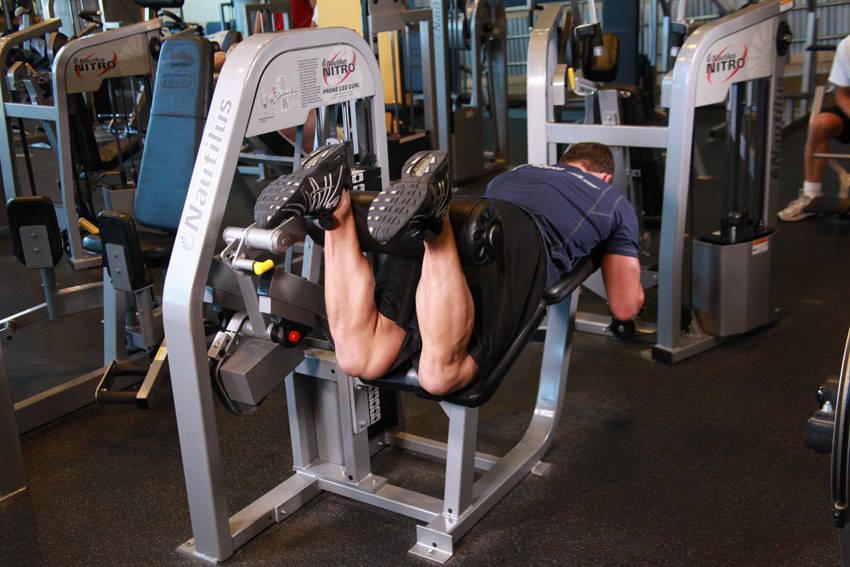 Lying Leg Curls, end position