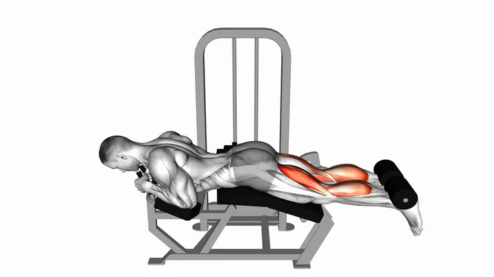 Lying Leg Curls