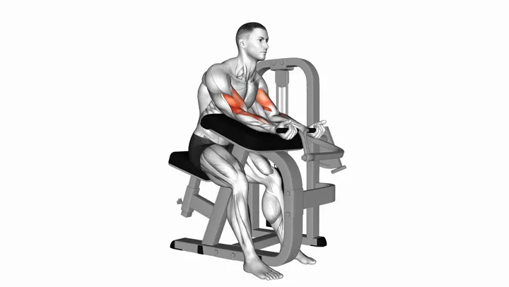 Machine Preacher Curls