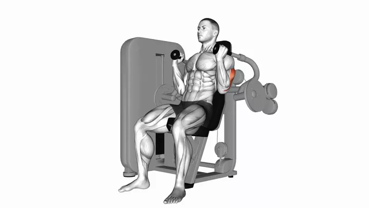 Machine Triceps Extension