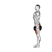 Overhead Dumbbell Lunge