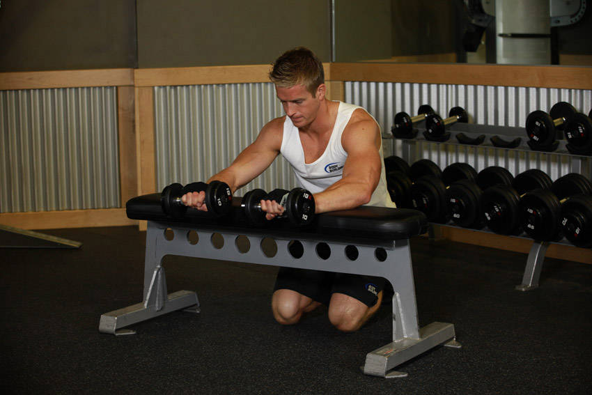 Palms-Down Dumbbell Wrist Curl Over A Bench, end position