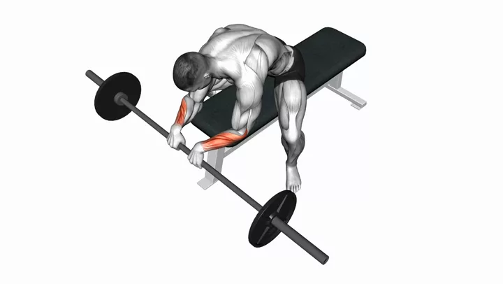 Palms-Down Wrist Curl Over A Bench