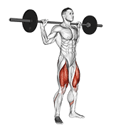 Pause Squat (Barbell), demonstration
