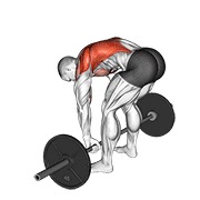 Pendlay Row (Barbell)