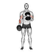 Pinwheel Curl (Dumbbell), demonstration