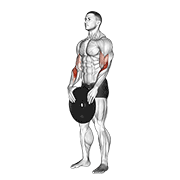 Plate Curl, demonstration