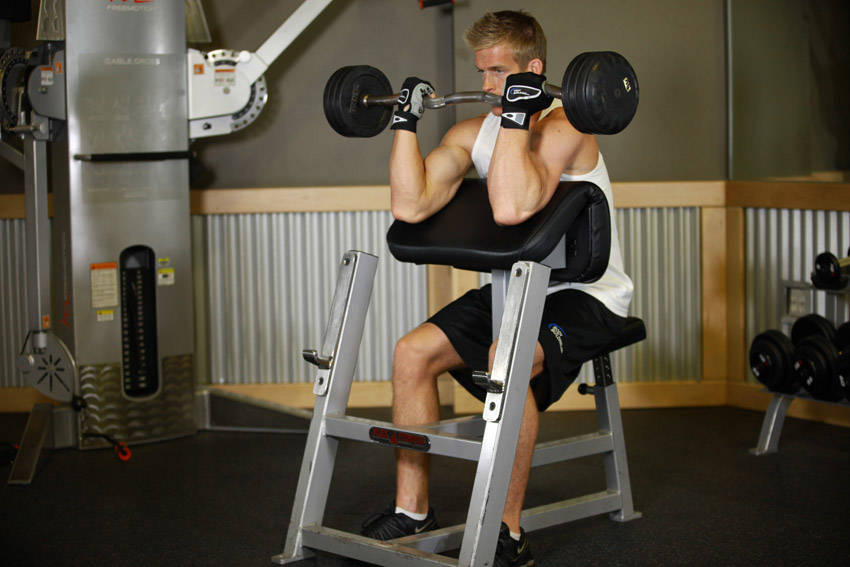 Preacher Curl, end position