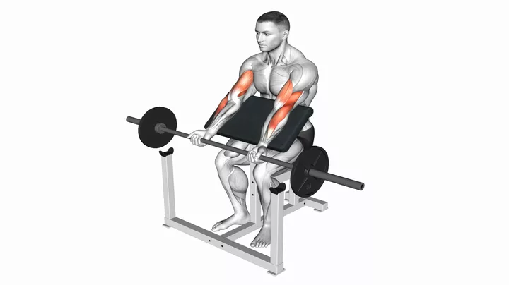 Barbell Preacher Curl