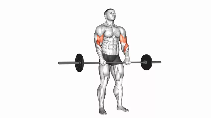 Reverse Barbell Curl