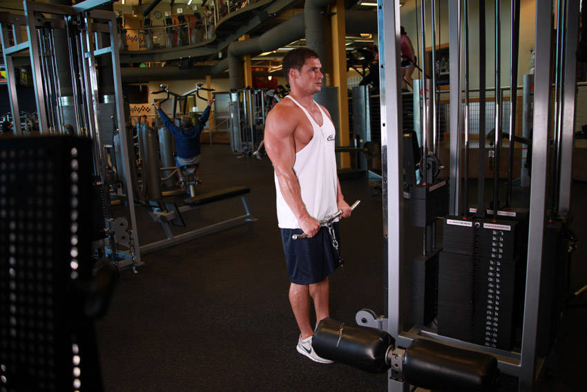 Reverse Cable Curl, end position