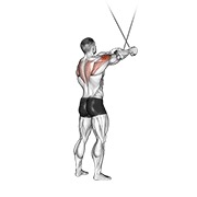 Reverse Fly Single Arm (Cable)