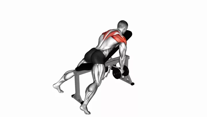 Dumbbell Incline Reverse Fly, demonstration