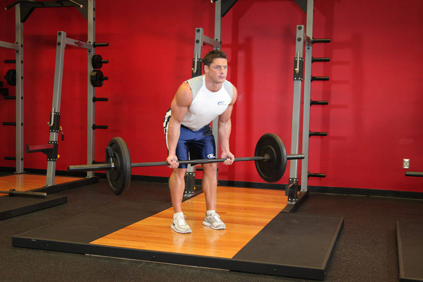 Reverse Grip Bent-Over Rows, end position