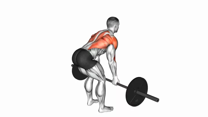 Reverse Grip Bent-Over Rows, demonstration