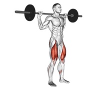 Reverse Lunge (Barbell)