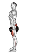 Reverse Lunge (Dumbbell)