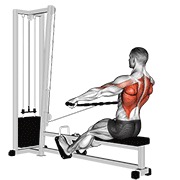 Seated Cable Row - Bar Wide Grip