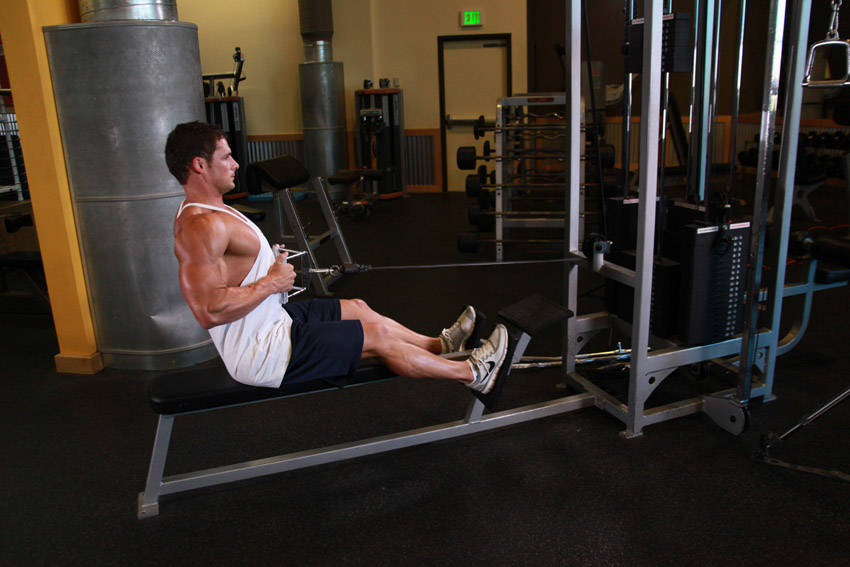 Seated Cable Row - V Grip, end position