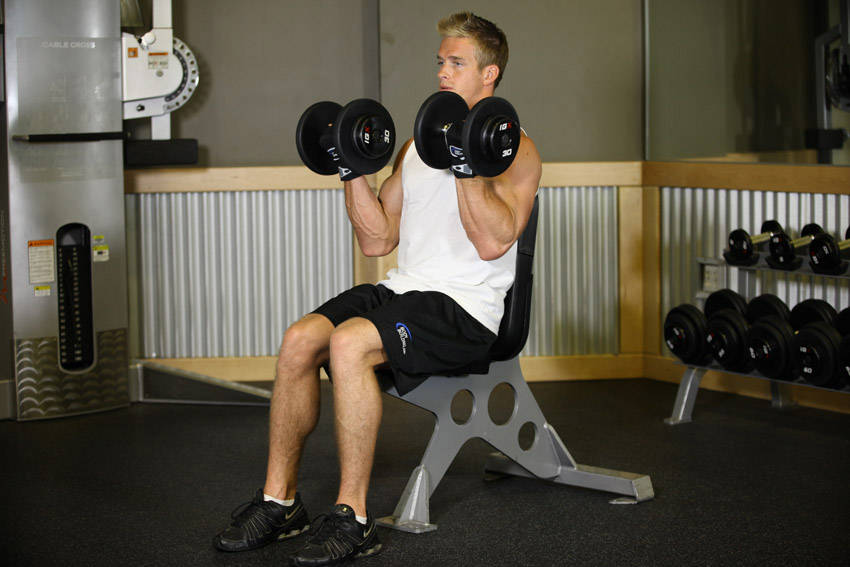 Seated Dumbbell Curl, end position
