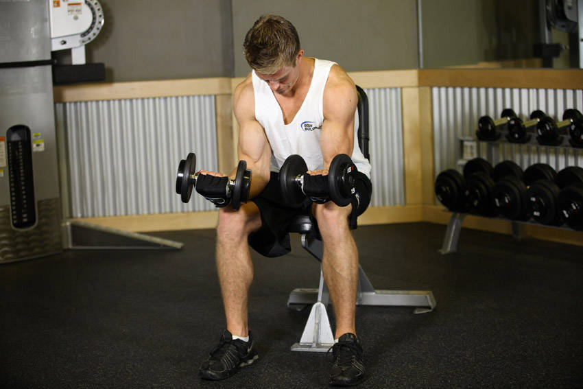 Seated Dumbbell Palms-Up Wrist Curl, end position