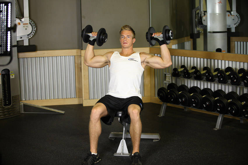 Seated Dumbbell Press, end position