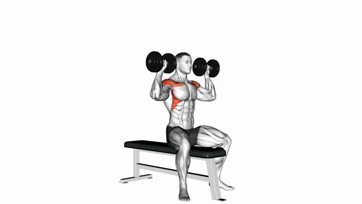 Seated Dumbbell Press