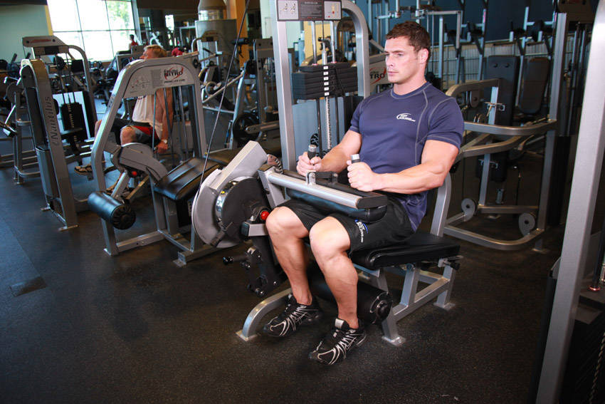 Seated Leg Curl, end position