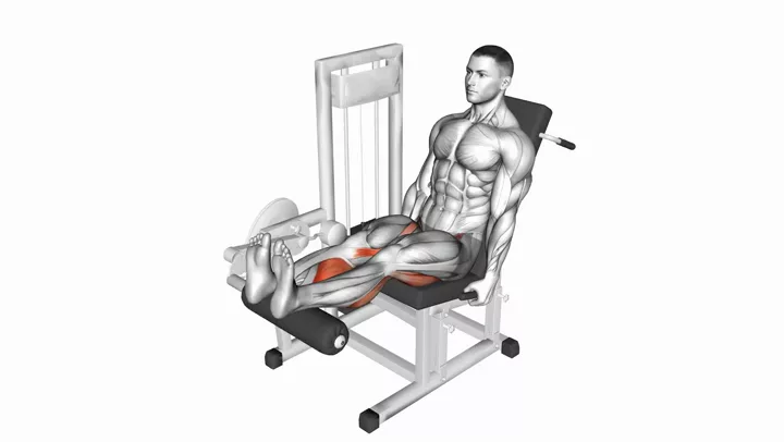 Seated Leg Curl