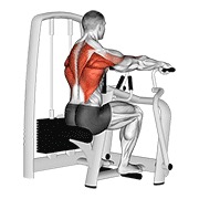 Seated Row (Machine)