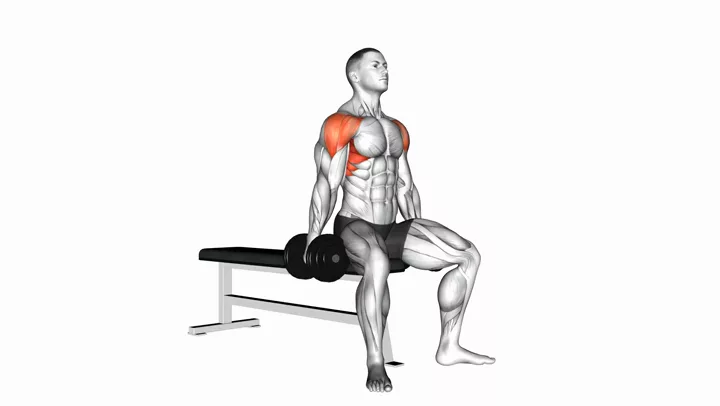 Seated Side Lateral Raise