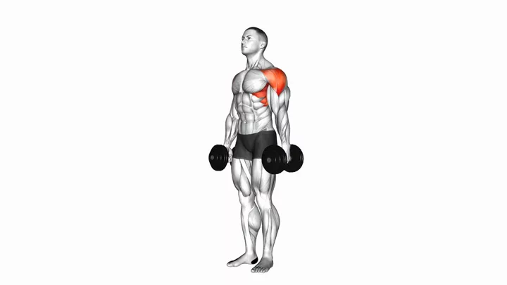 Side Lateral Raise