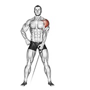 Single Arm Lateral Raise (Cable)