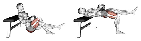Single Leg Hip Thrust (Dumbbell)