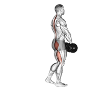 Single Leg Romanian Deadlift (Dumbbell), demonstration
