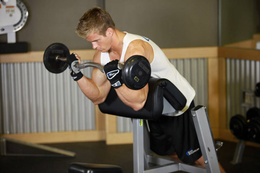Spider Curl, end position