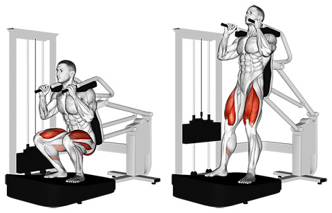 Squat (Machine)