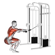 Squat Row