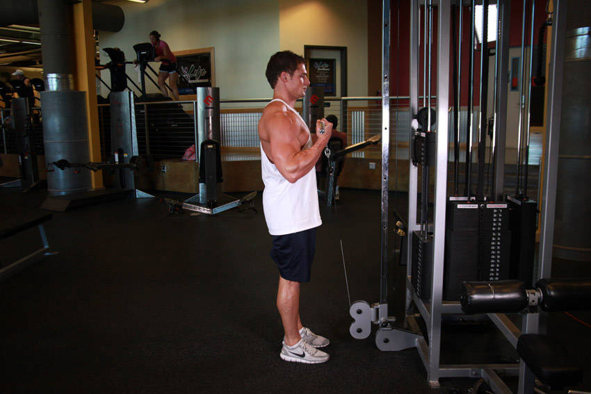 Standing Biceps Cable Curl, end position